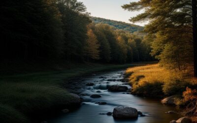 4×4 Trails In Virginia