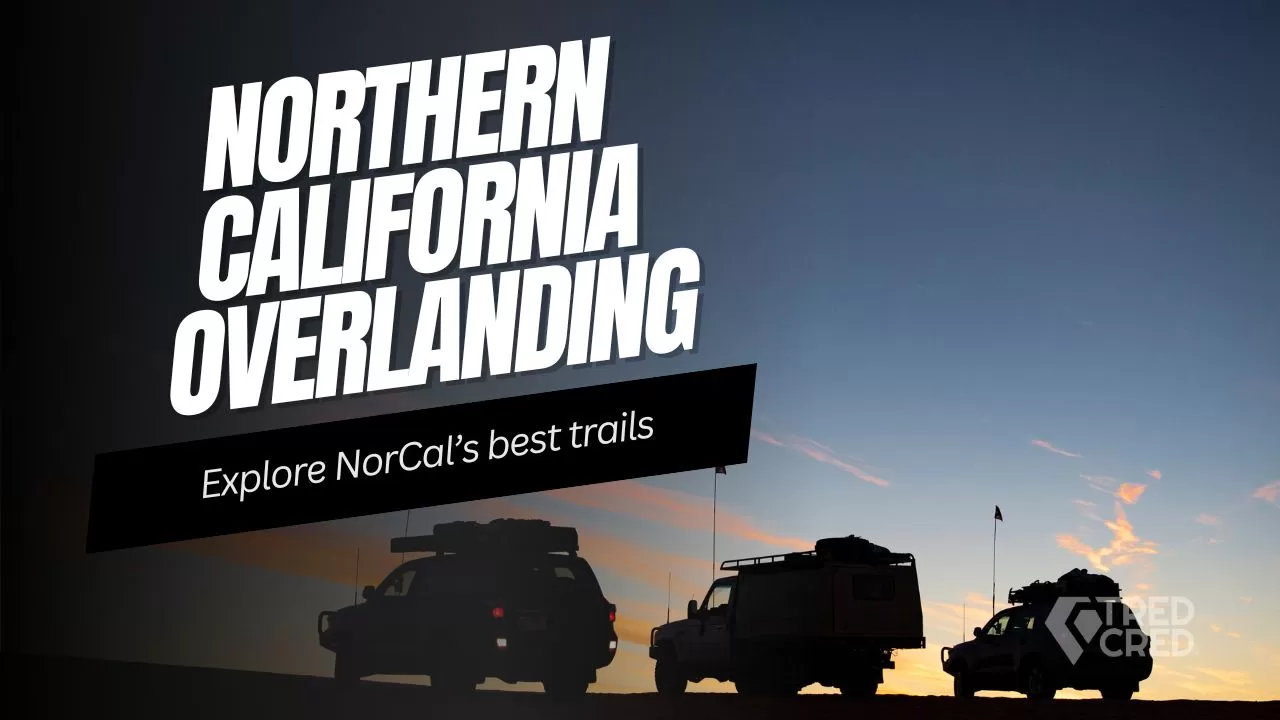 Exploring NorCal’s Wild Side: Overlanding Trails & Redwood Adventures