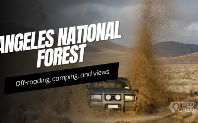 Angeles National Forest Overland Guide: Where to Camp, Drive & Explore