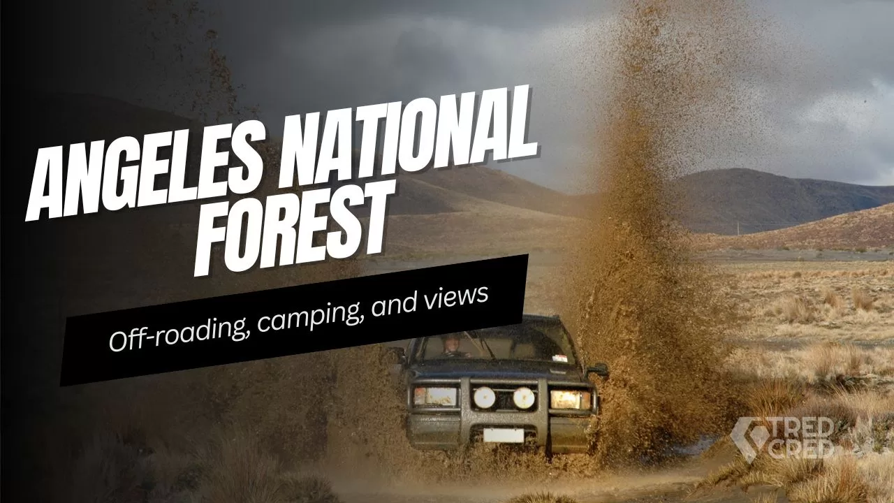 Angeles National Forest Overland Guide: Where to Camp, Drive & Explore