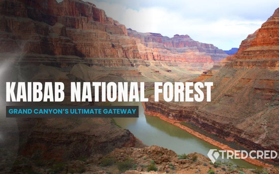 Kaibab National Forest: The Overlander’s Gateway to the Grand Canyon