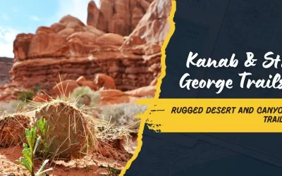 Exploring the Rugged Backcountry: Off-Roading Adventures Near Kanab and St. George